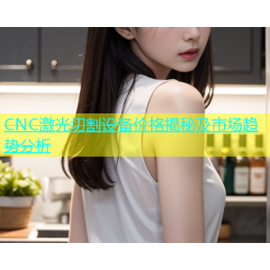 CNC激光切割设备价格揭秘及市场趋势分析