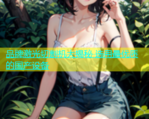 品牌激光切割机大揭秘 选用最优质的国产设备(图2)